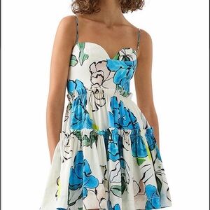 Aje Blue and White Floral Mini Dress